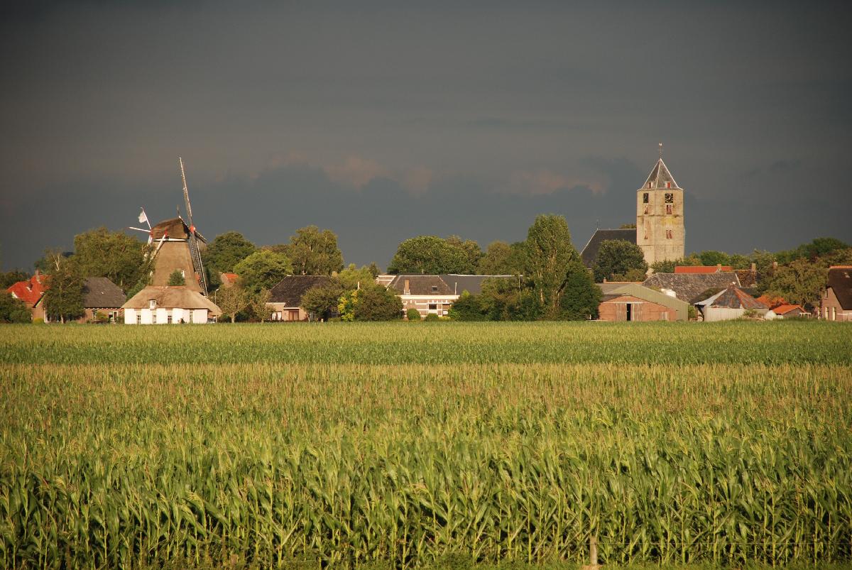 brinkweg